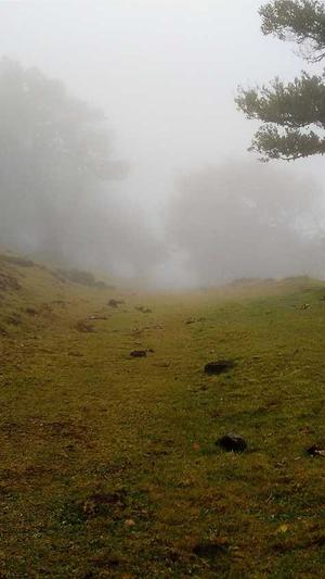 吃瓜公众号截图3